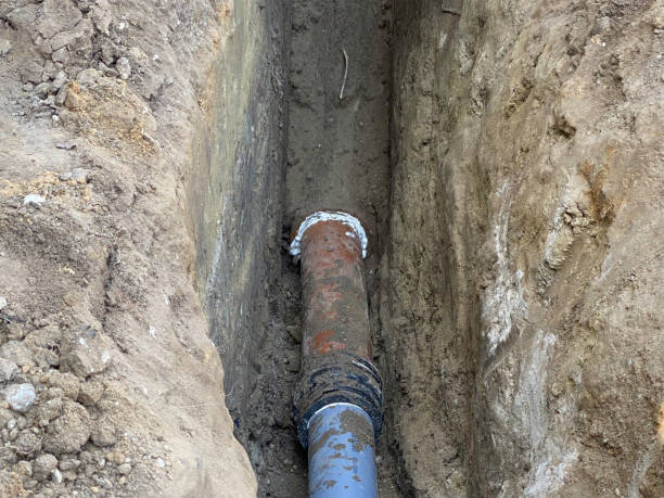 Best Flood damage cleanup  in Horace, ND