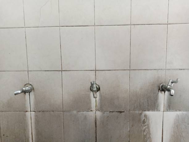 Best Flooded house restoration  in Horace, ND
