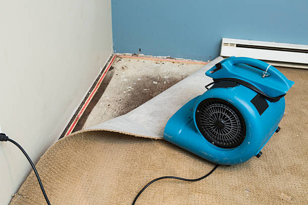 Reliable Horace, ND Water damage restoration Solutions