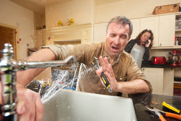 Best Water damage restoration near me  in Horace, ND